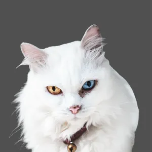 123