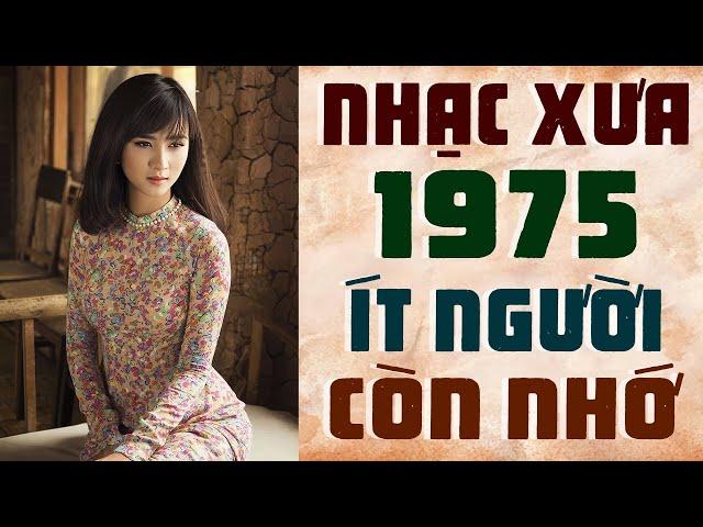 LK Nhạc Vàng Xưa Bất Hủ Ít Người Còn Nhớ - Nhạc Xưa Cực Hay Có Tiền Chưa Chắc Có Được