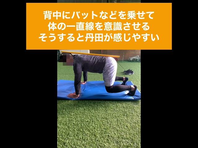 体幹トレーニング　その体幹トレーニングて効いてますか？