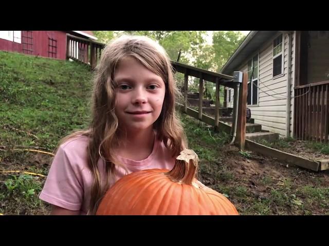 Submit Your Pumpkin Videos by Oct 15th!  (Whistle Thicket Pumpkin Challenge)