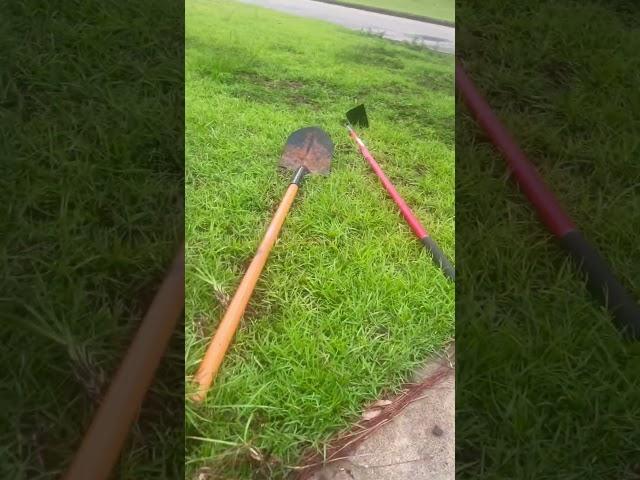 Lawn needs reviving ️#share#shorts#home#lawncare#diy#lawn#tlc#hoa#gardening#plants#flowers#fyp