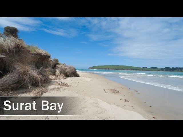 Surat Bay, Catlins, New Zealand | 4K