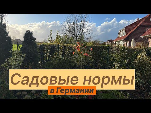 Садовые нормы в Германии: что можно , а что нельзя 