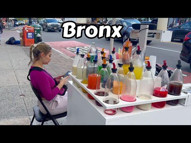 New York City Virtual Walking Tour 2024 Fordham Bronx Ny