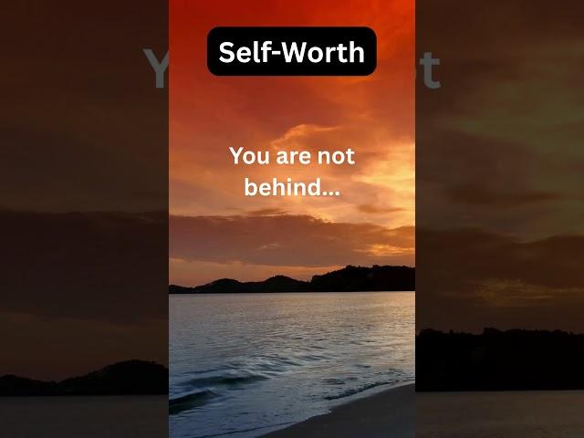 Light of Wisdom