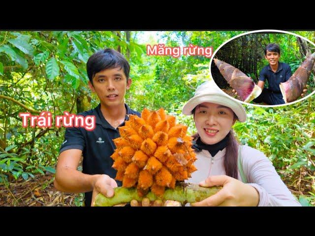 Hôm Nay Mai Và Anh Sang , Mấy Đứa Vào Rừng Lấy Măng Tre Gai Về Nấu Bữa Cơm Cùng Gia Đình