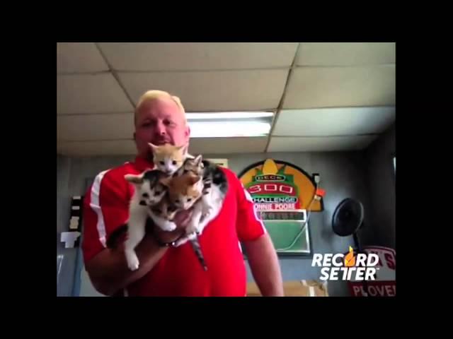 Most Kittens Held in a Single Hand (World Record!)