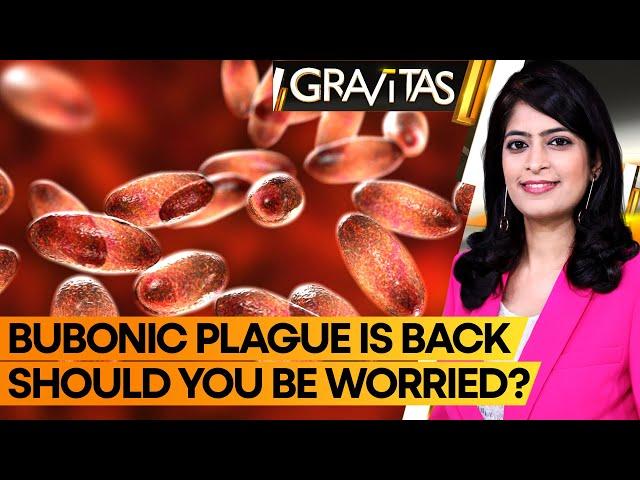 Gravitas: Man dies from Bubonic plague in New Mexico