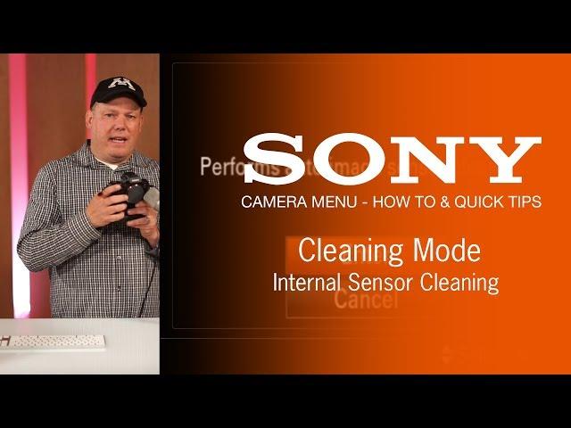 How To Clean Your Sony Sensor For Free The Pixel Show
