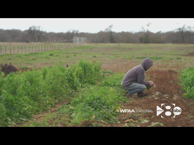 Texas father, son build farm-model drug treatment center in effort to help with long-term sobriety