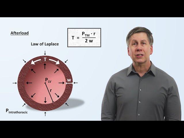 Cardiac Mechanics (preload, afterload, contractility, ejection fraction, and cardiac output)