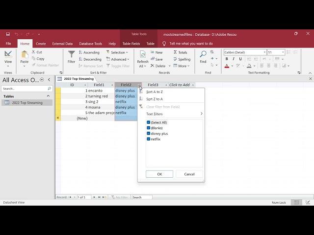 First Look at Microsoft Access