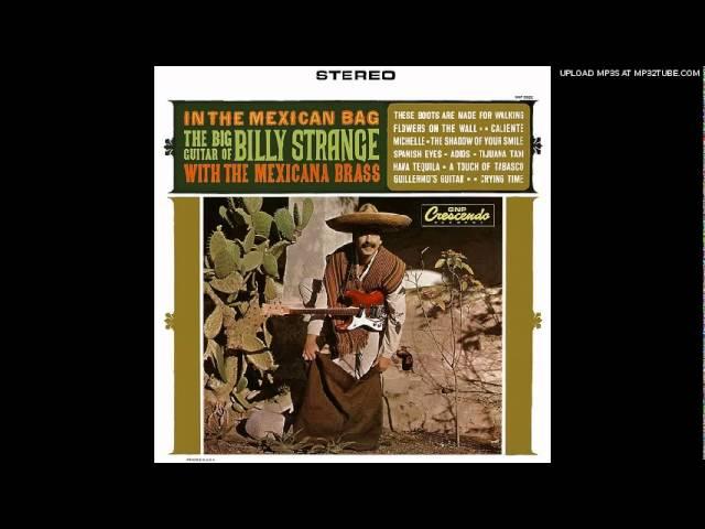 Billy Strange & The Mexican Brass - Flowers On The Wall - 1966