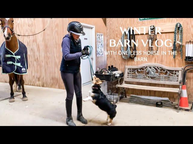 THERE’S ONE LESS HORSE IN THE BARN (BARN VLOG)