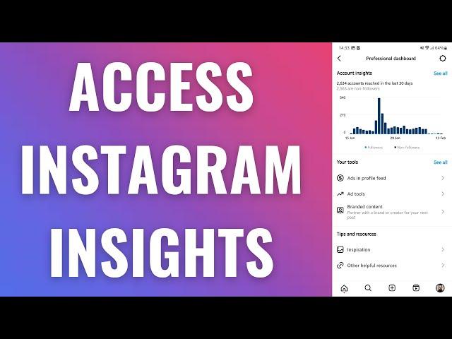 How to Access Instagram Insights & Analytics (2023)