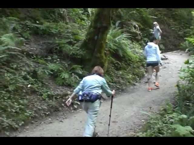 Portland Parks & Recreation's Amazing Forest Park!