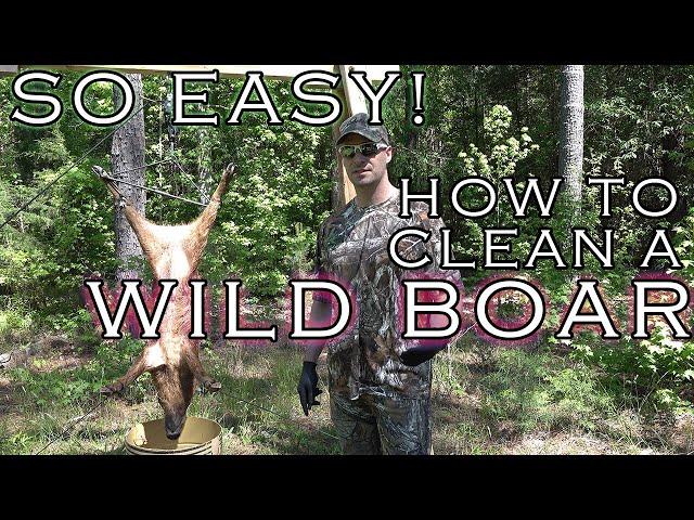 Wild Game Processing - BEST WAY TO SKIN A WILD BOAR! How to Quarter a Wild Boar / Hog / Pig!