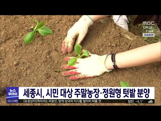 세종시, 시민에게 주말농장·정원형 텃밭 분양/대전MBC