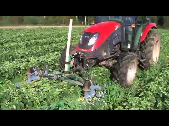 Maasika peenravahede niitmine || Cutting grass between the strawberry beds