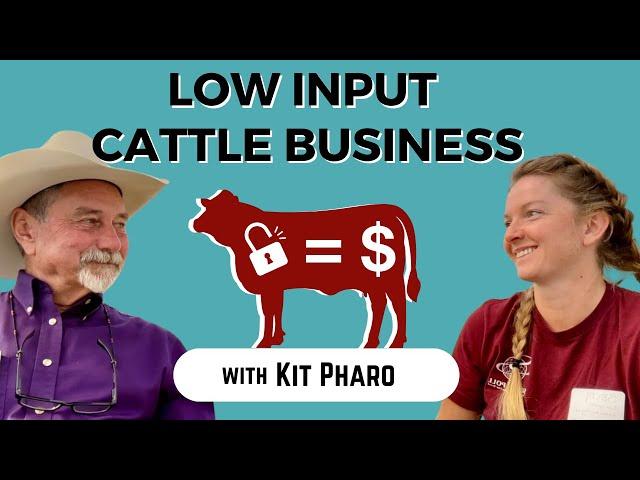 Low Input Cattle Business with Kit Pharo