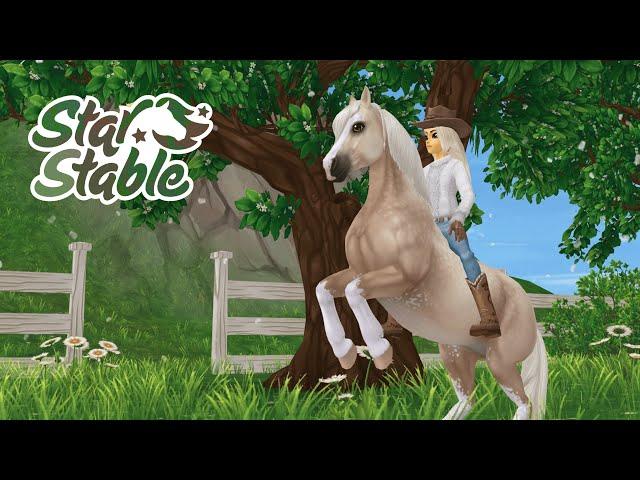 Покупаем обновленного ВАЛИЙЦА и болтаем :D | STAR STABLE ONLINE