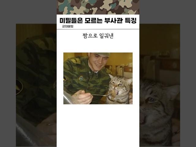 미필들은 모르는 부사관 계급별 특징