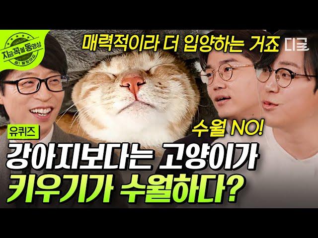 [#유퀴즈온더블럭] 강아지 vs 고양이 누가 더 귀여운가! 수의사 설채현&나응식 자기님의 끝나지 않는 논쟁 #설채현 #나응식