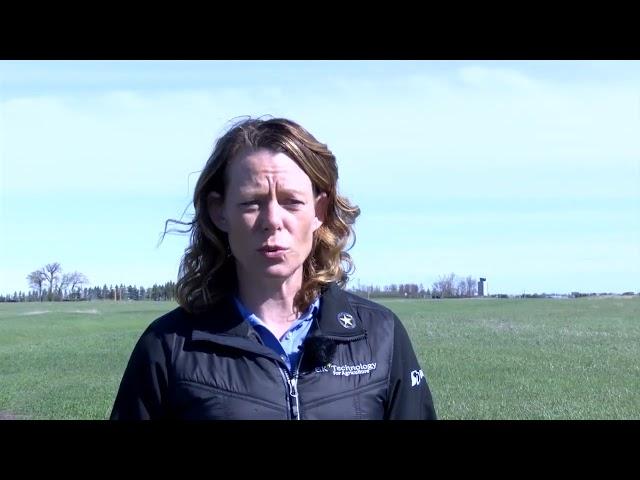 Agweek Soy Insight Segment - May 2024