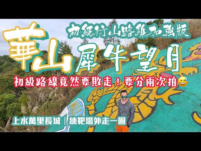 初級路線上的好玩山徑️萬里長城️華山️犀牛望月[香港行山郊遊路線] 4k拍攝｜環繞練靶場外山徑｜北望神州清朝石碑皇家義勇軍徽打卡｜高CP值初級路線加強版｜新界上水行山郊遊路線