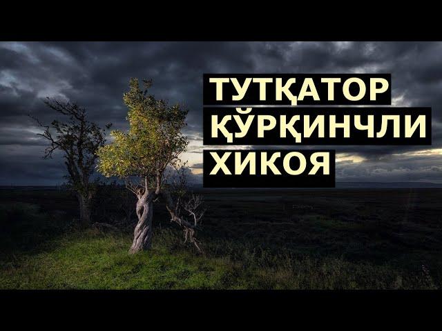 Кечаси Тутқатордаги шарпа қўрқинчли  хикоя