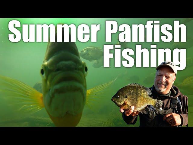 AnglingBuzz Show 12: Summer Panfish Fishing