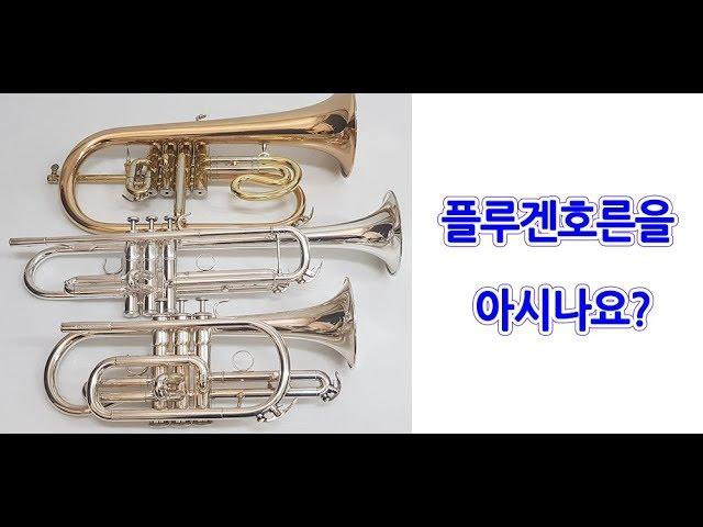 [중고악기세상] 플루겐호른(FlugenHorn)을 아시나요?