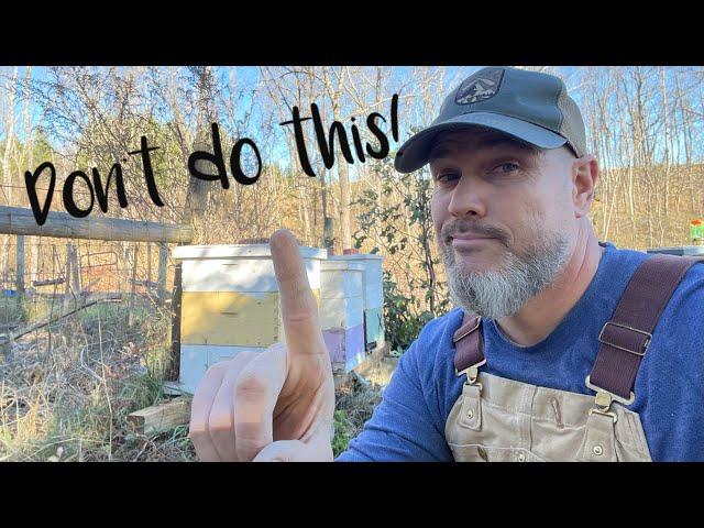 The BIGGEST WINTER BEEKEEPING MISTAKE!!!!