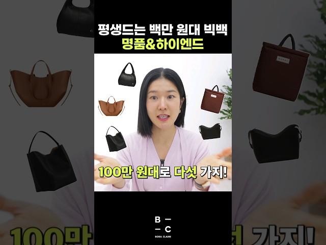 빅백 평생드는 백만원대 추천‼️