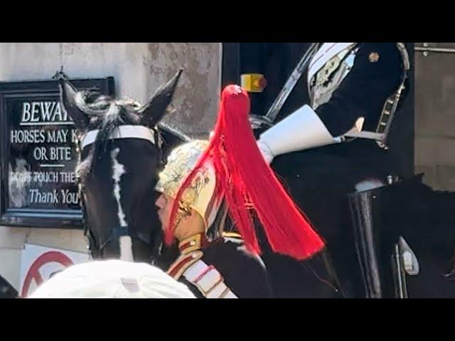 Heartwarming Moment: King’s Guard Gives Horse a Sweet Kiss!