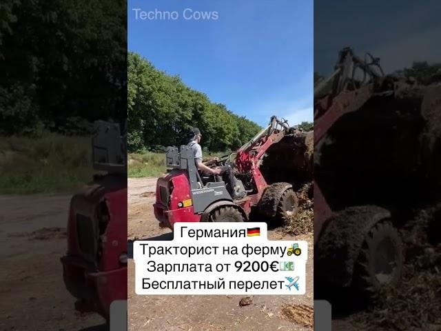 ПИШИТЕ ++ В КОММЕНТАРИИ #вакансии #работа