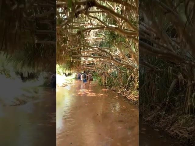 Did YOU know this was in Vietnam? Mui Ne Fairy Stream