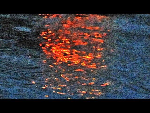 joji - rain on me (OFFICIAL)