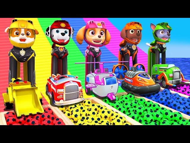 PAW Patrol Guess The Right Door ESCAPE ROOM CHALLENGE Animals Tire Game Cow Elephant Tiger Chicken