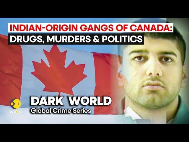 Indian-origin gangs of Canada: Drugs, murders & politics | DARK WORLD