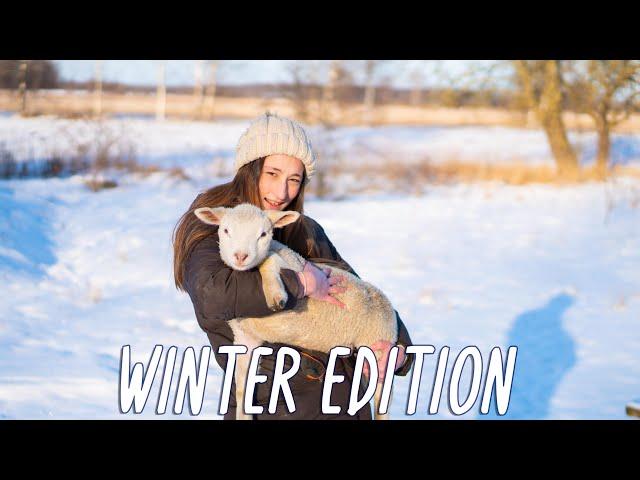 Homestead Morning Routine | Feeding cute Animals