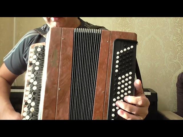 Разбор народной песни "Виновата ли я" на баяне для начинающих