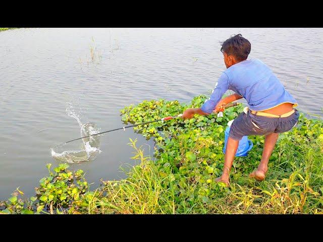 Hook Fishing - Traditional Hook Fishing - MR Fishing Life (Part-10)