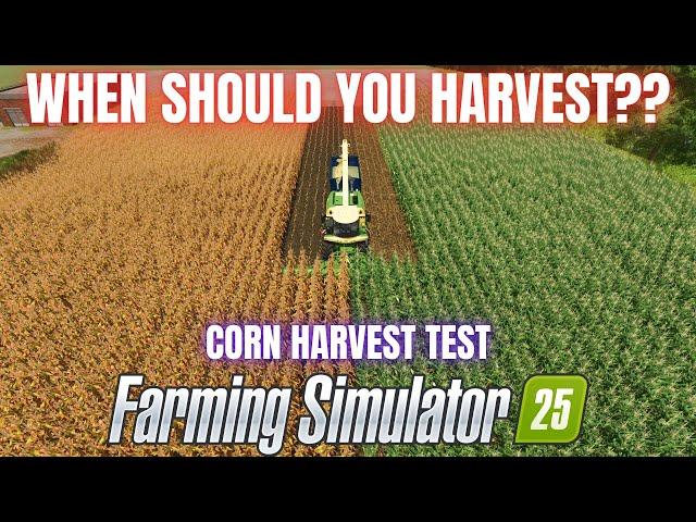 CORN SILAGE HARVEST TEST - Farming Simulator 25