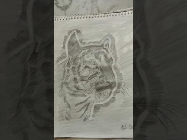 realistic tiger drawing. inspired by its art adda