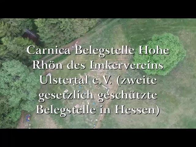 Carnica Belegstelle Hohe Rhön 9.Juni 2019