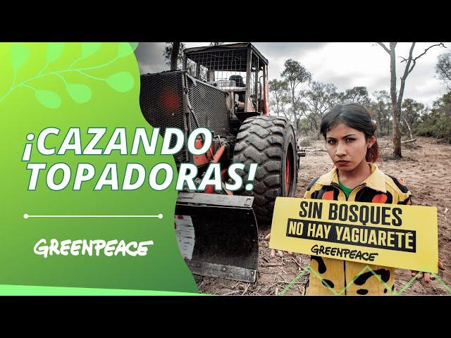 Cazando topadoras: desmontes en Santiago del Estero - Greenpeace Argentina