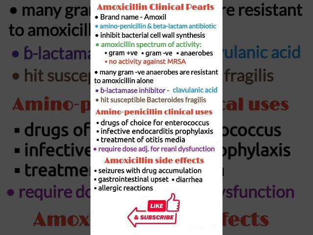 Antibiotics pharmacology, amoxicillin pharmacology, pharmacology made easy, antibiotics short video