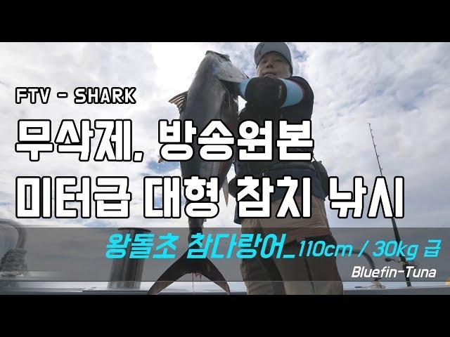 [FTV한국낚시채널] 샤크 SHARK 무삭제 방송원본 - 미터급 대형 참치 낚시