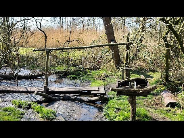 Bird Feeders, Wildfowl and Wetlands Trust, Caerlaverock, Dumfries and Galloway, Scotland, UK.